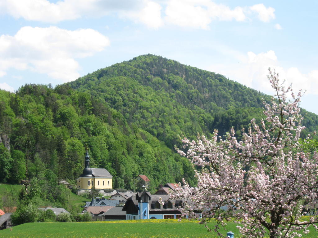 Waschlgut Hotel Ebenau Kültér fotó